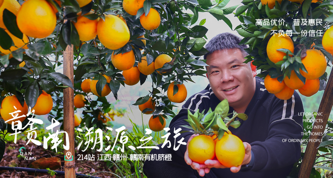 从百万羽绒服到水果帝国：老伍的逆袭之路