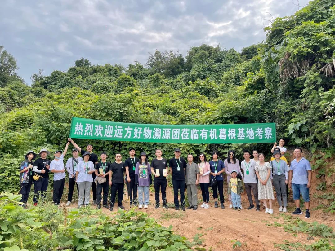 揭秘二月风：南京同仁堂葛根粉造假内幕与药食同源真相