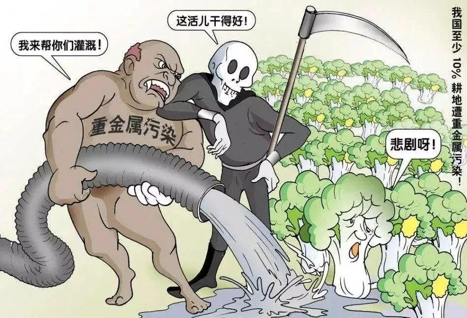 揭秘有机食品价格高昂的四大原因