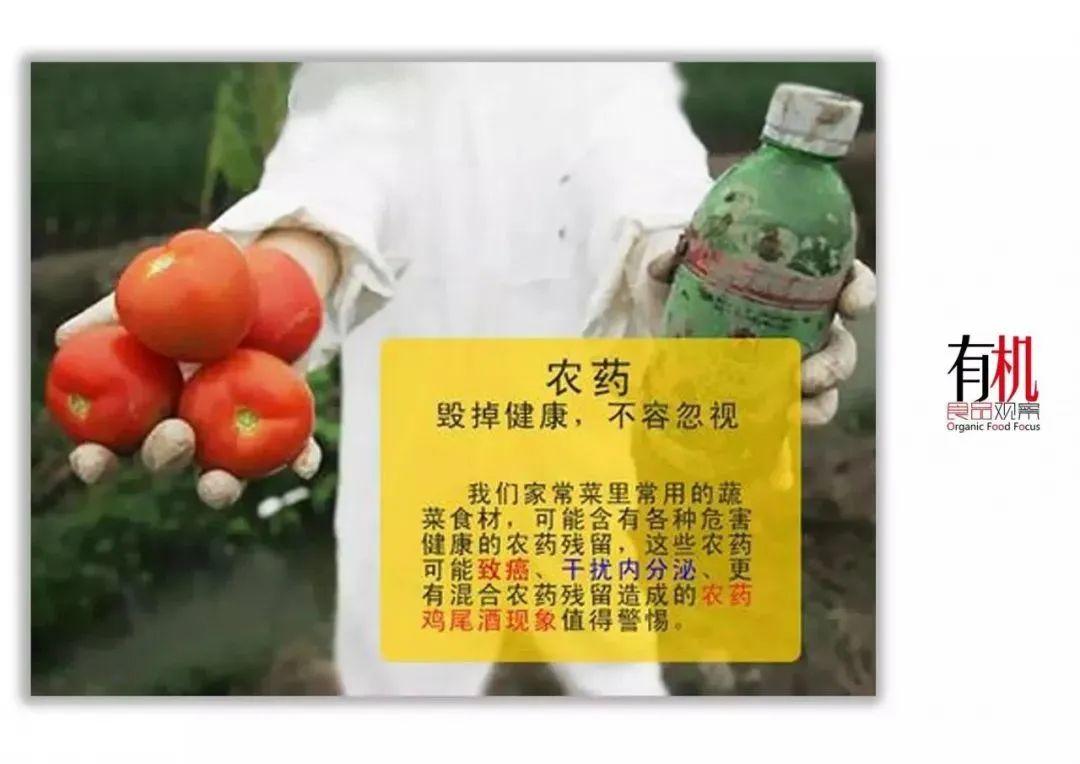 揭秘有机食品价格高昂的四大原因