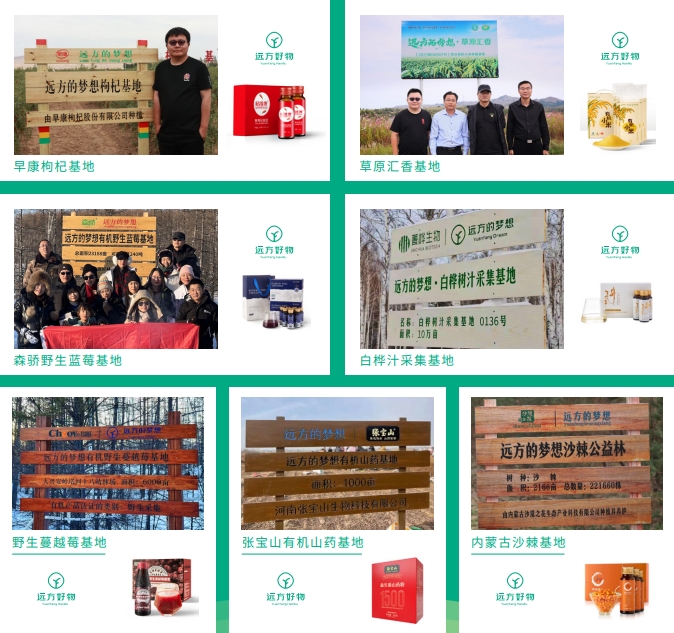 远方好物平台优势解析：十年公益电商供应链创新模式