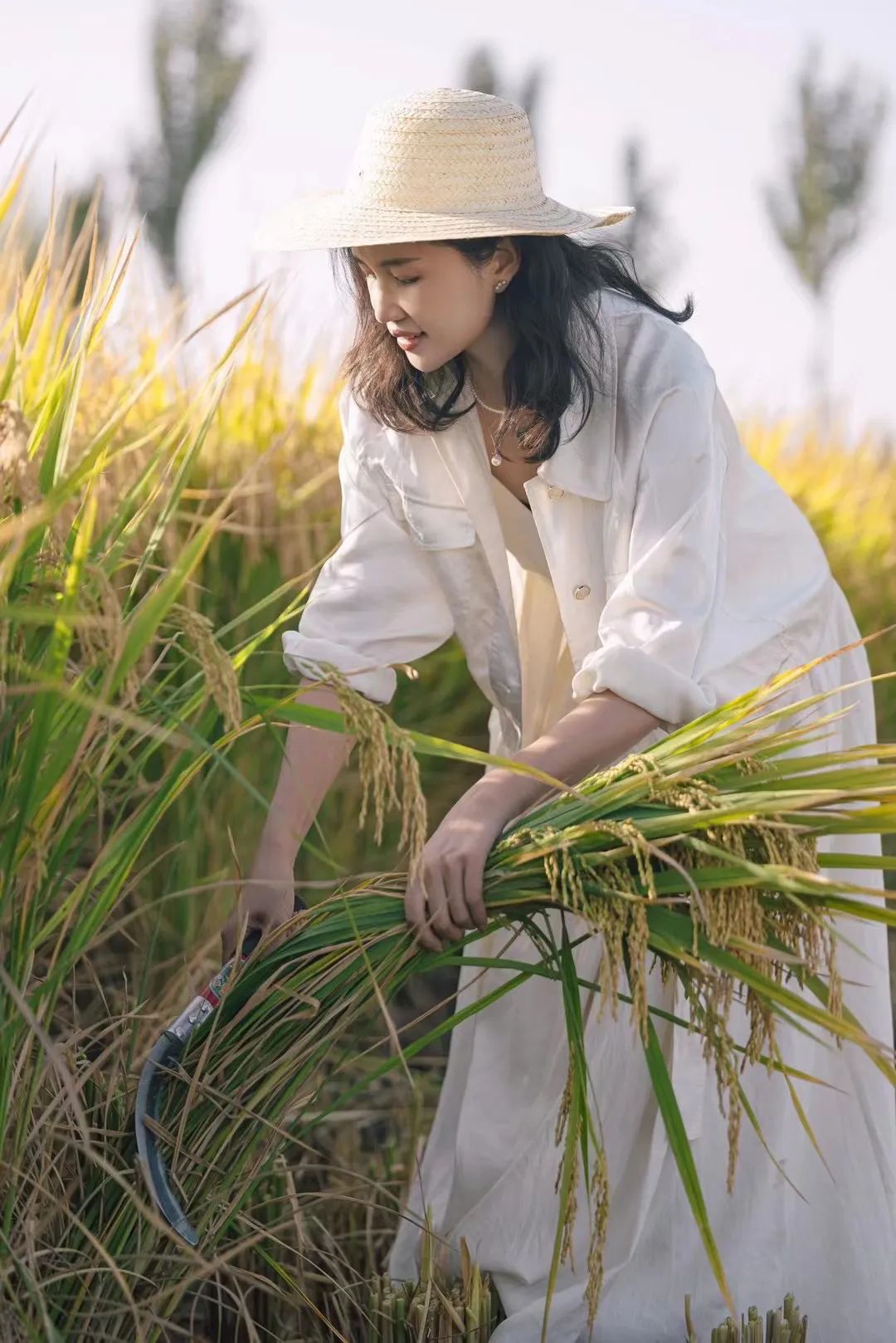 在远方遇见更好的自己：一位宝妈的蜕变与成长之路