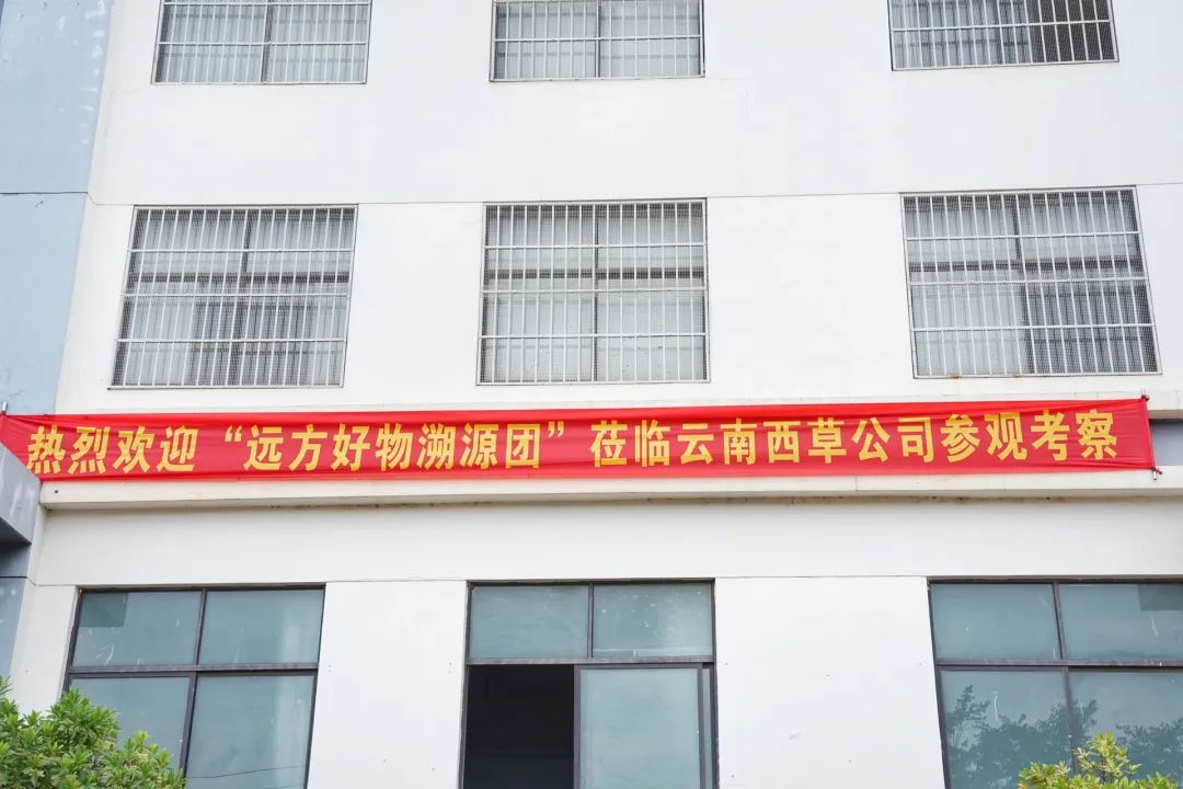 揭秘云南西草：80%中国精油源自此地的研发实力与专家团队