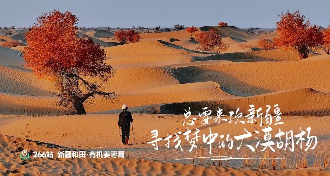 远方好物高品优价践行者 震撼行业的良心平台
