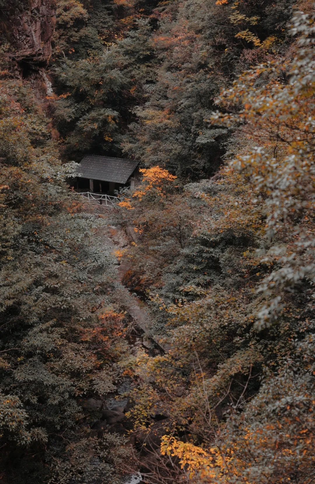 建筑师转行选择远方好物的心路历程与价值追求