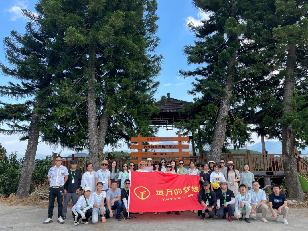 平和琯溪蜜柚树上鲜甜如画