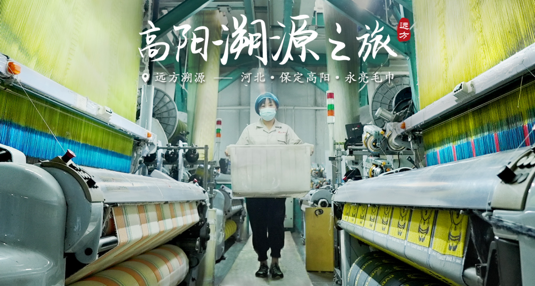 高阳永亮：百年纺织传奇与草木染非遗传承