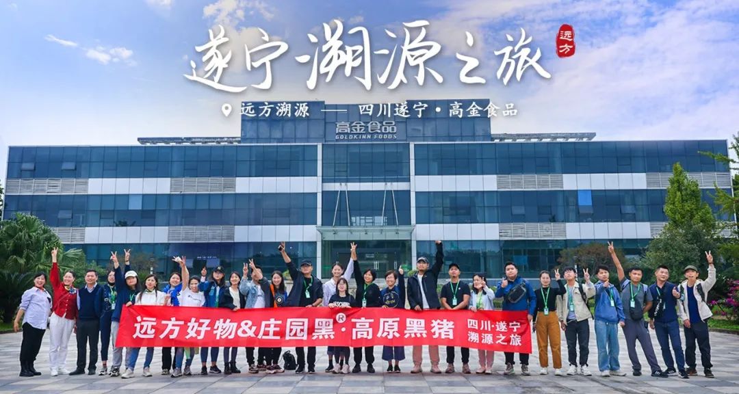 高金黑猪：溯源安全无抗美味猪肉