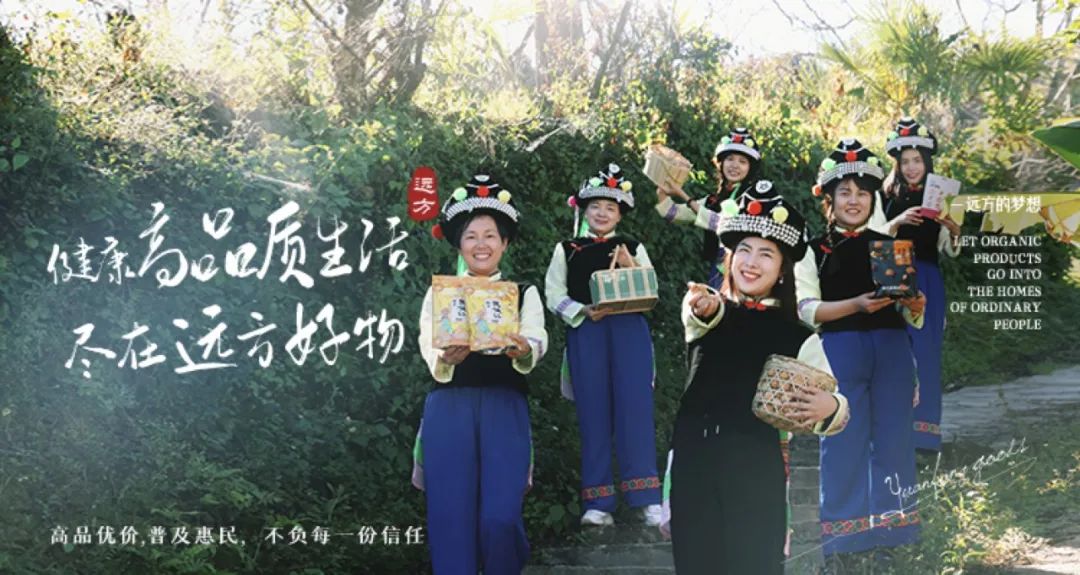 丽江程湖玫瑰溯源之旅寻找纯天然有机玫瑰花茶
