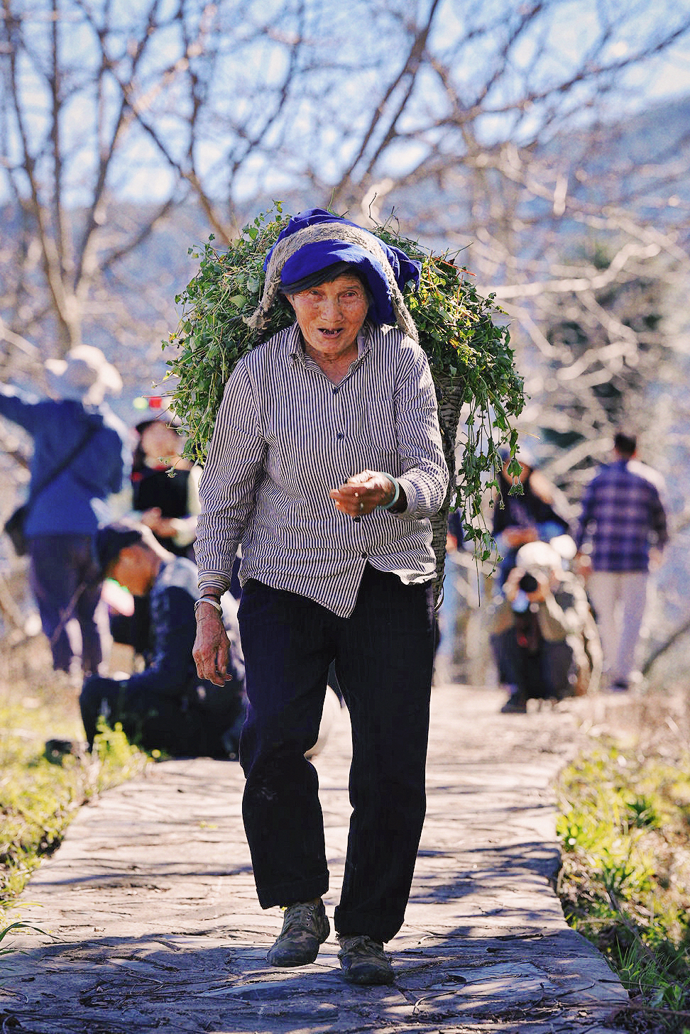 成都色彩之旅：探寻天府之国的红与火