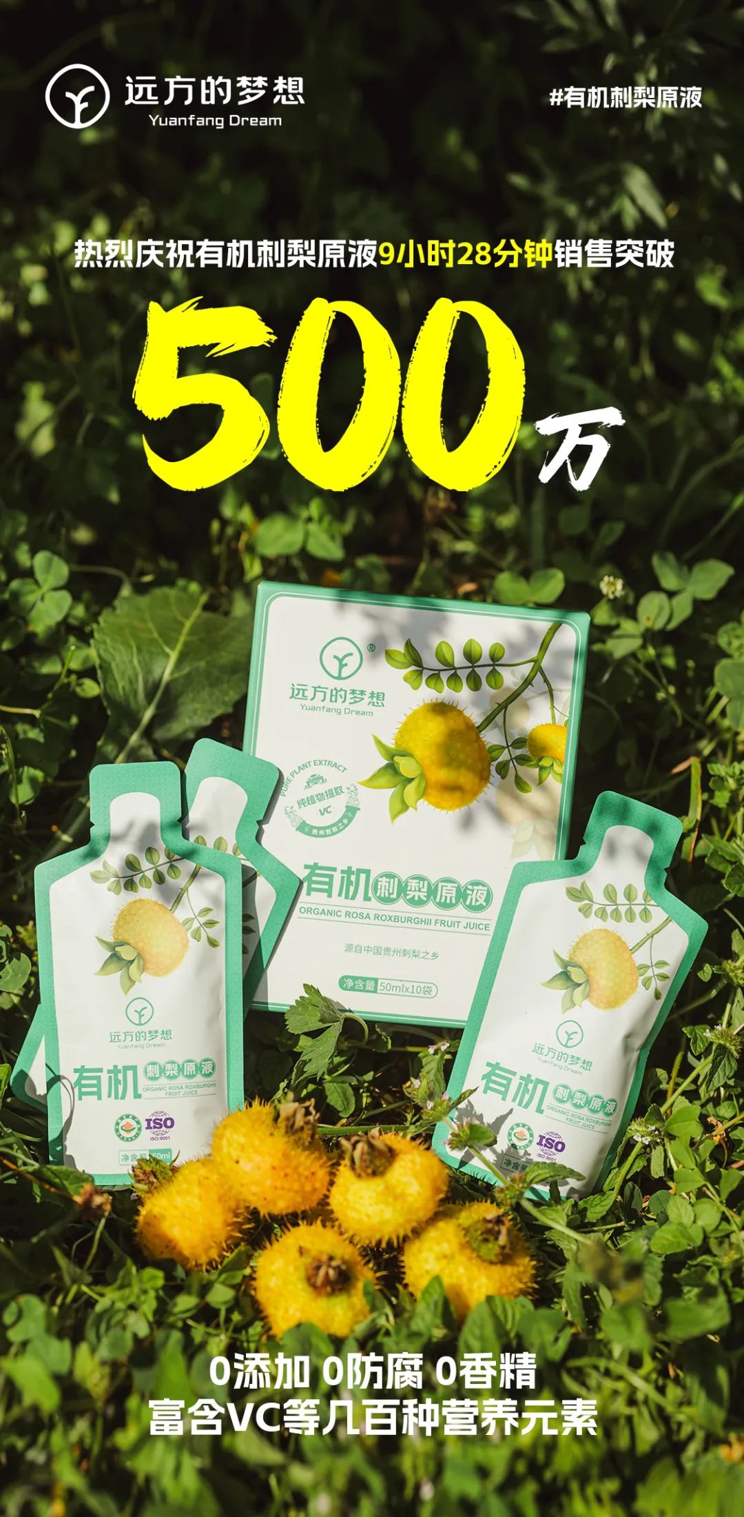 酵活刺梨益生菌发酵：贵州有机刺梨原液深度解析