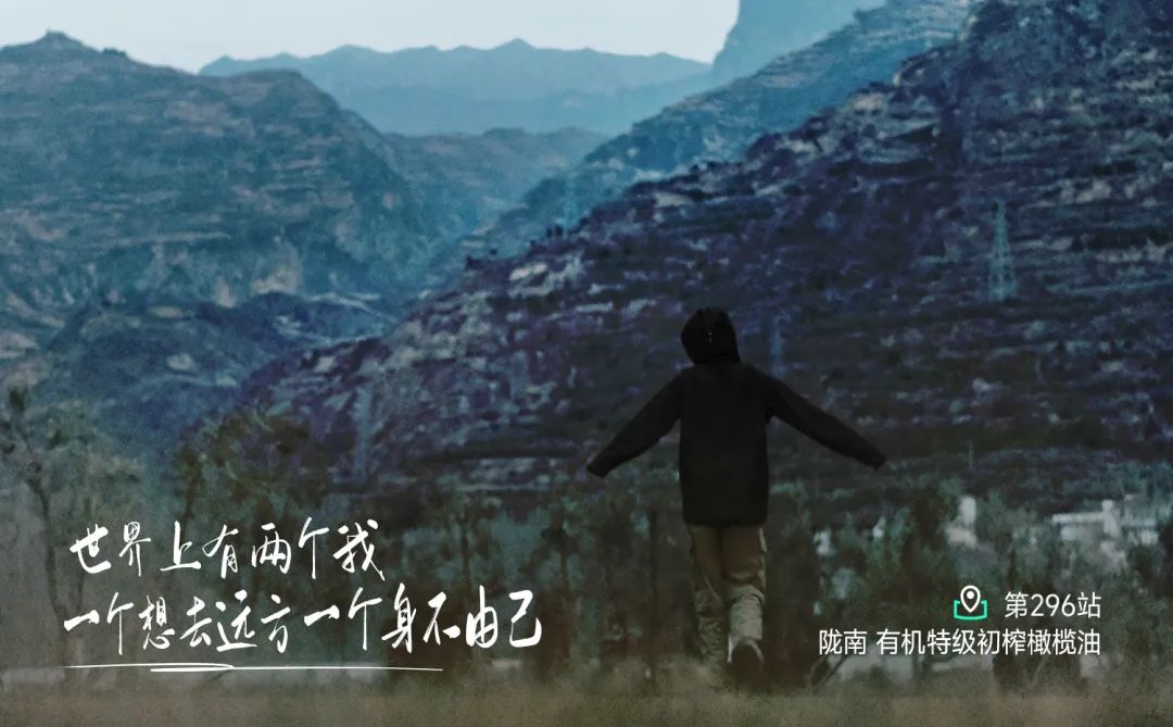 祥宇橄榄油传奇：从荒山到金奖的奇迹之路