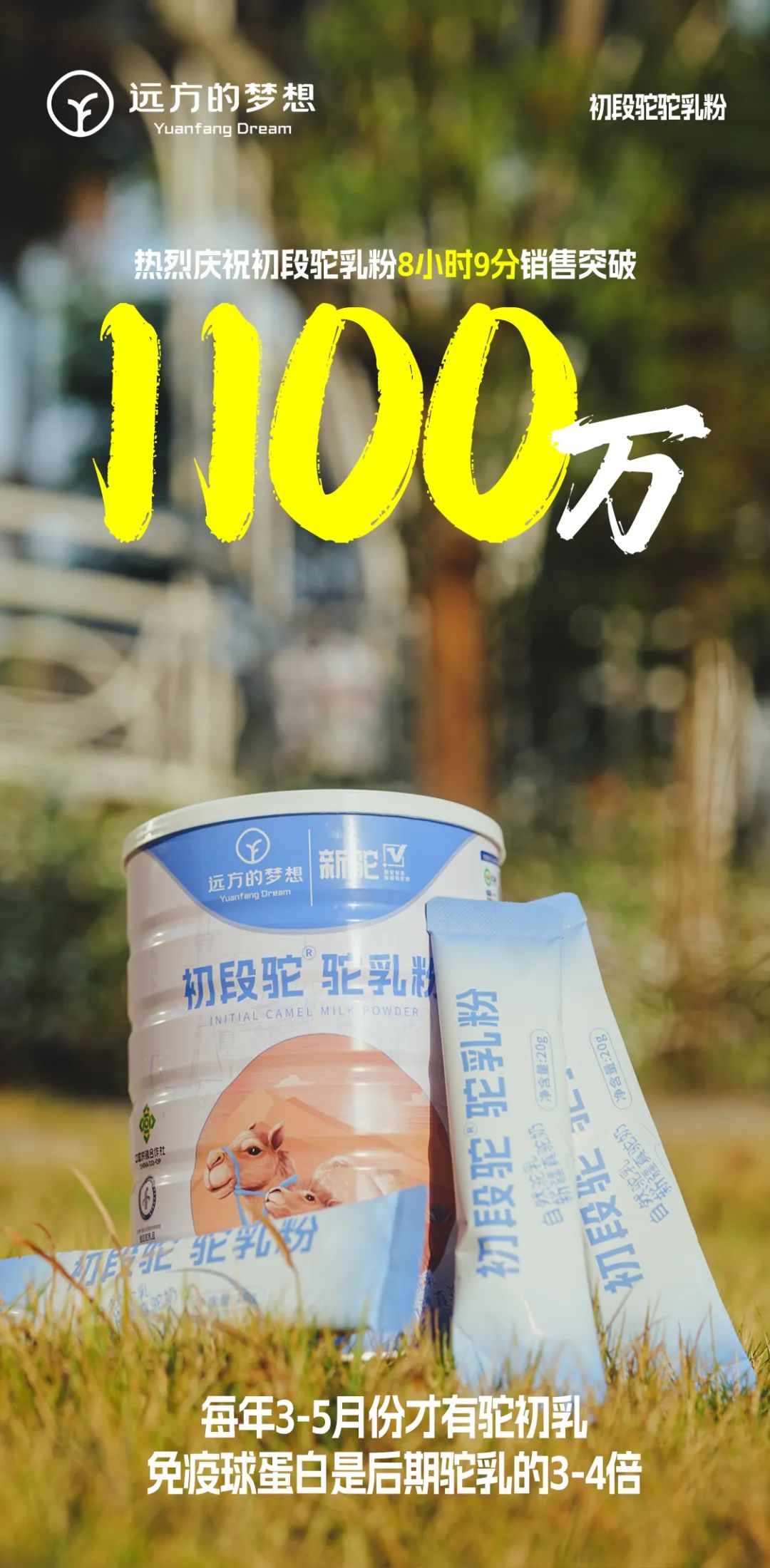 八十年代山东女孩的科技时代健康寻味之旅