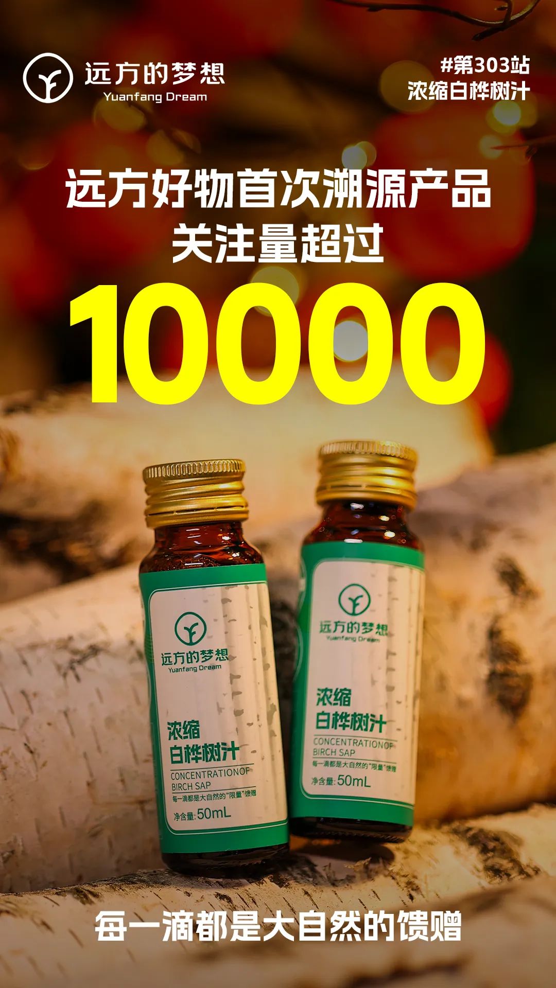 白桦奇迹：远方的9.9元时代引领行业崛起