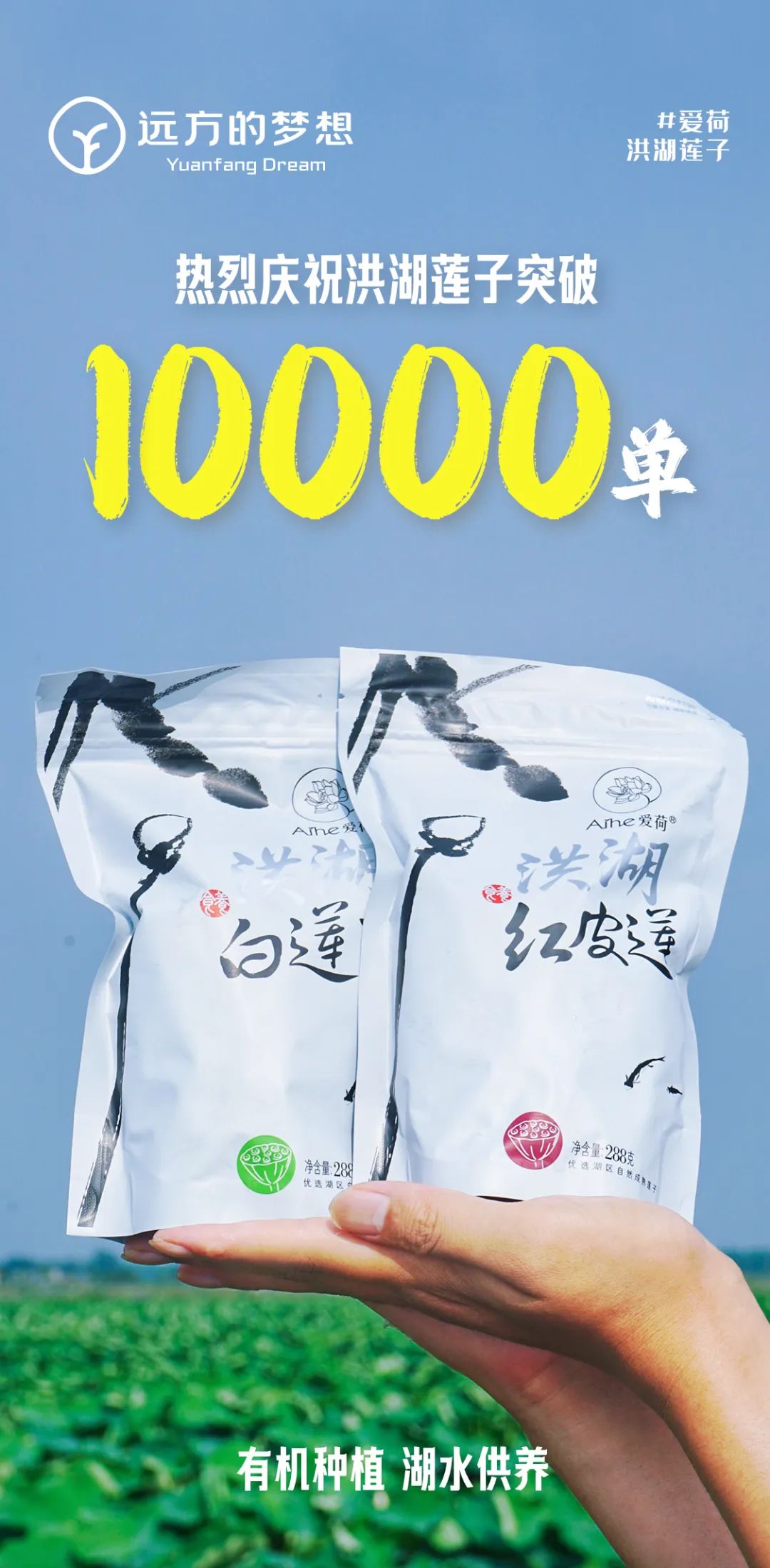 远方好物昆明溯源之旅：探寻食品安全背后的感动与成长