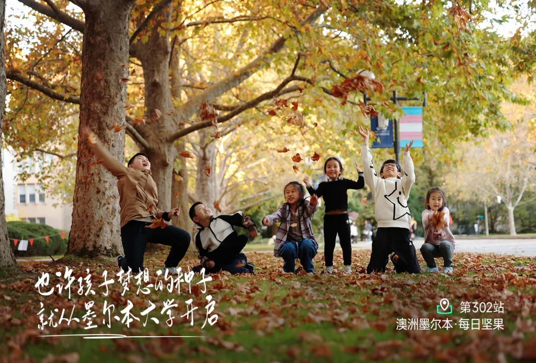 从行政到远方追梦人我的营养学转型之路