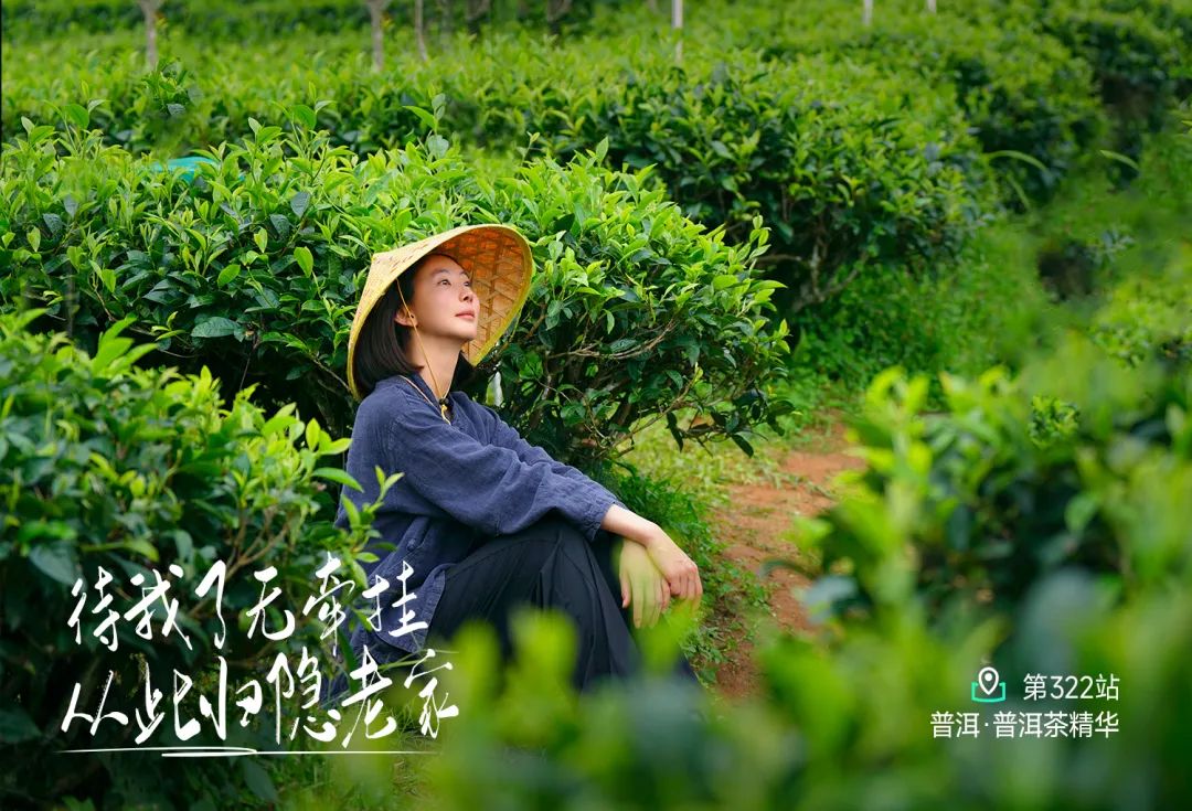 有机食品市场潜力巨大 未来供应充足吗