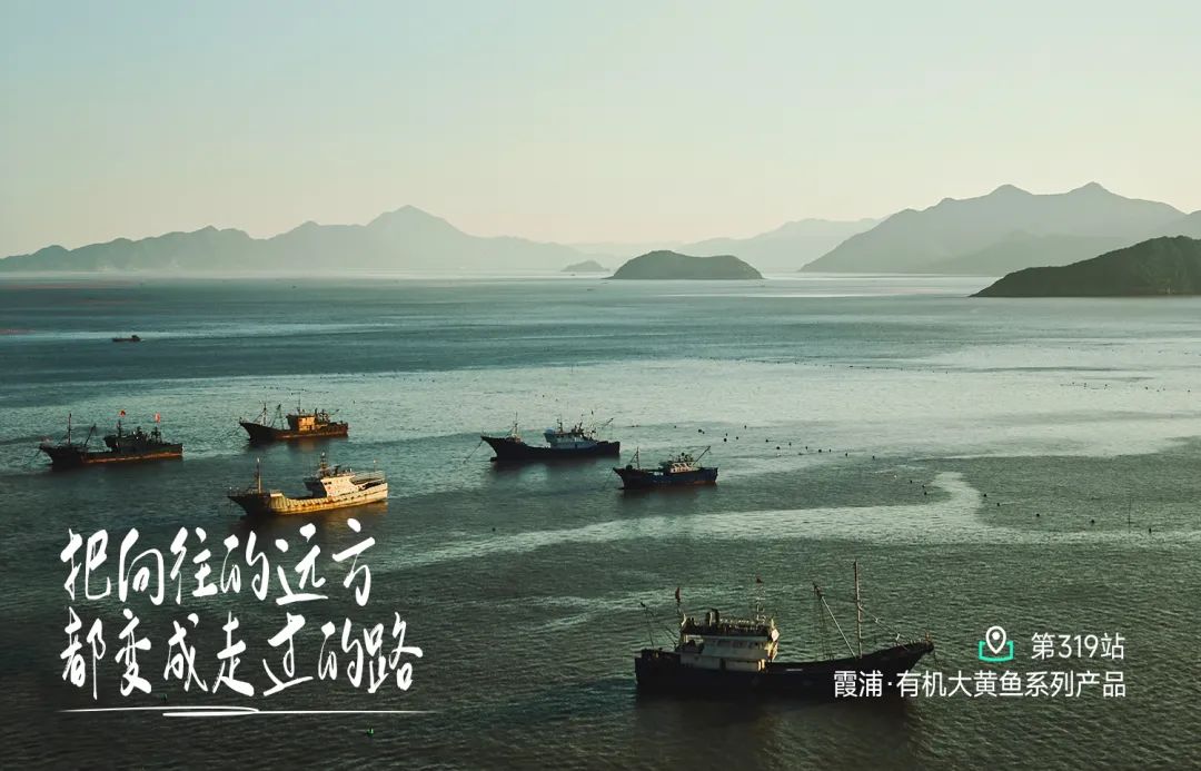 带611个孩子探秘山海世界，见证成长奇迹