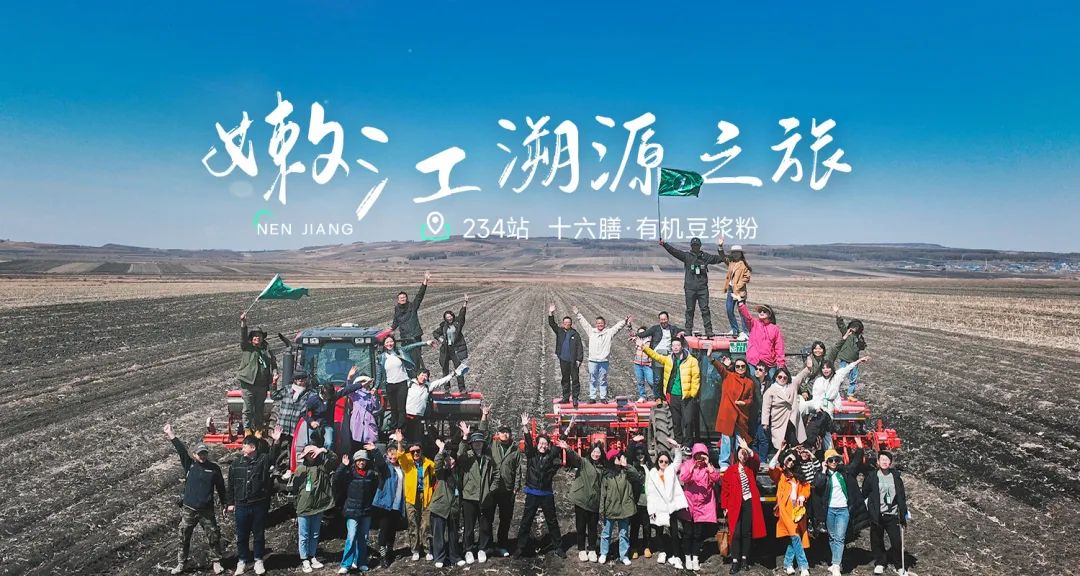 伊春白桦林溯源之旅：体验纯净桦树汁与自然之美