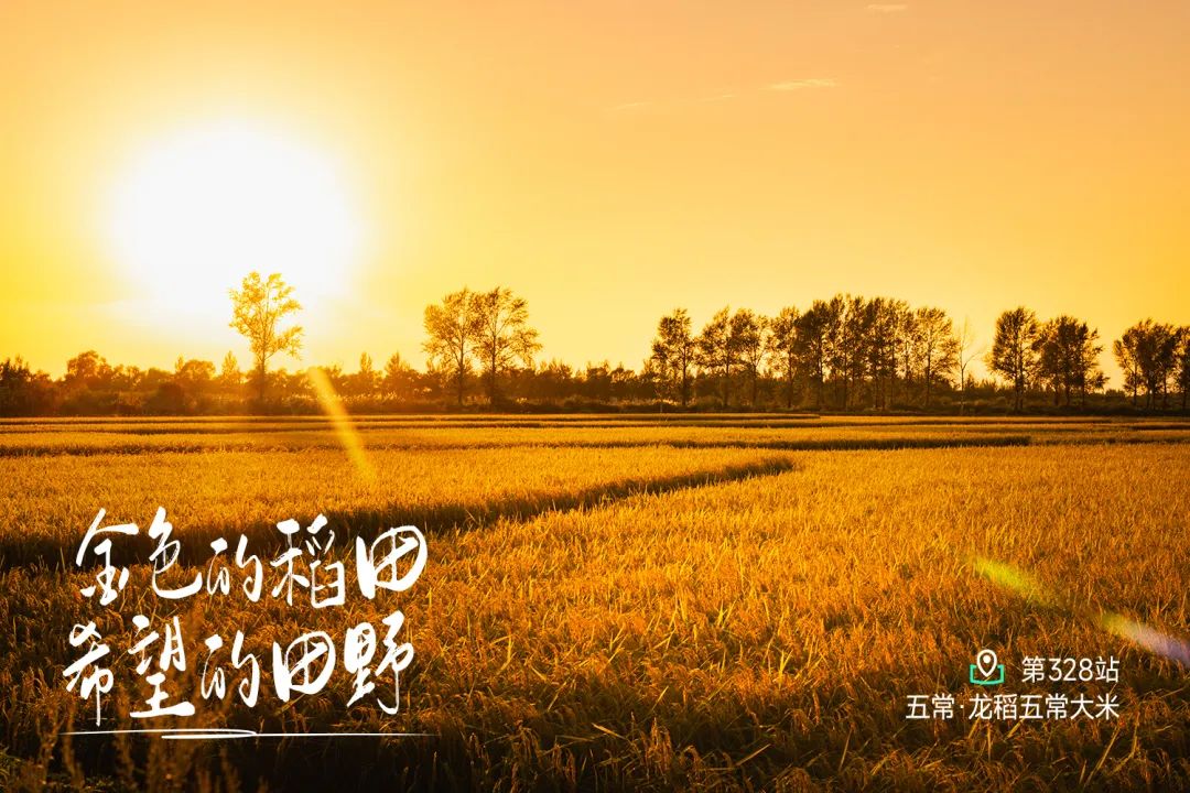 与鸡总监对话：远方好物引领产业高质量发展之路