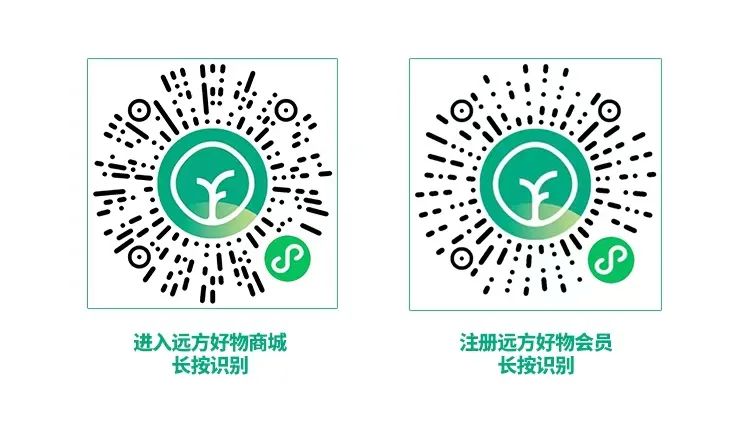 远方好物新会员必看：快速成长秘籍与成功路径
