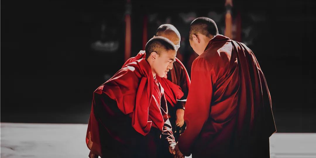 揭秘玉树野生虫草真谛与鉴别方法