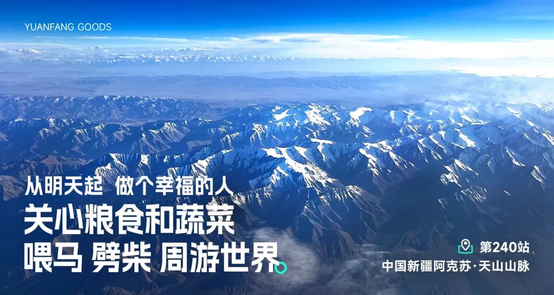 远方溯源之旅：追寻理想之光的心路感悟