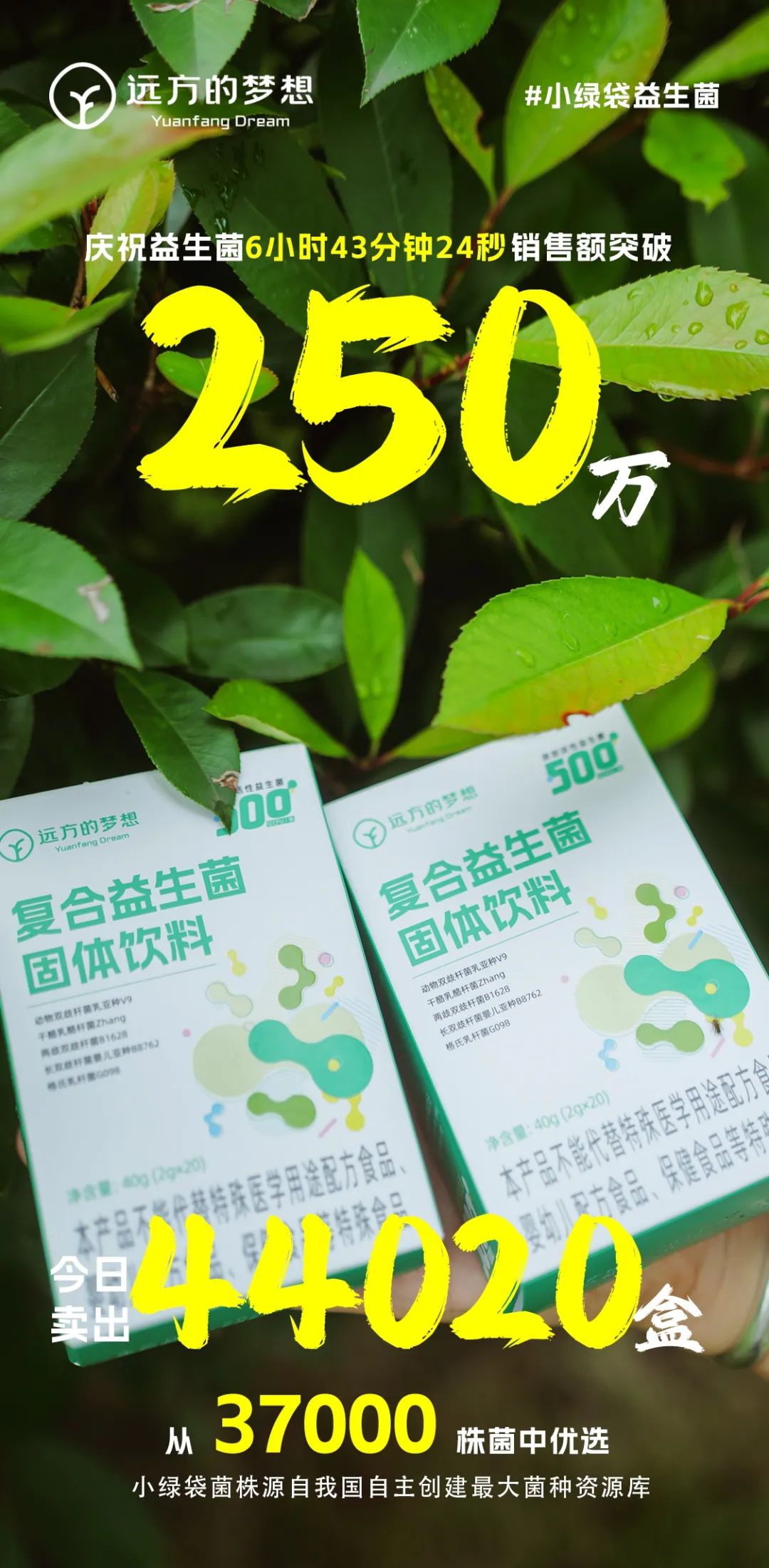 揭秘好益生菌：如何科学选择有效菌株