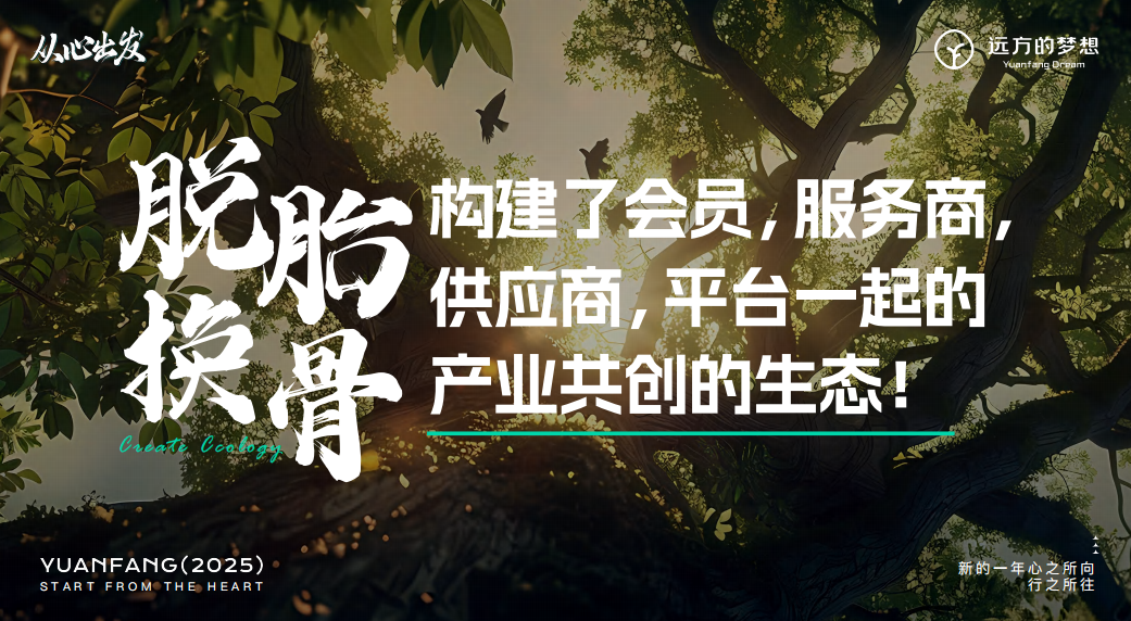 远方好物从心出发：2024回顾与2025战略规划深度解读