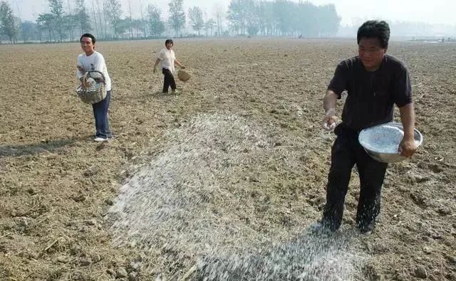 中国千年农耕智慧到化学农业的破局：远方好物平价健康食品先锋