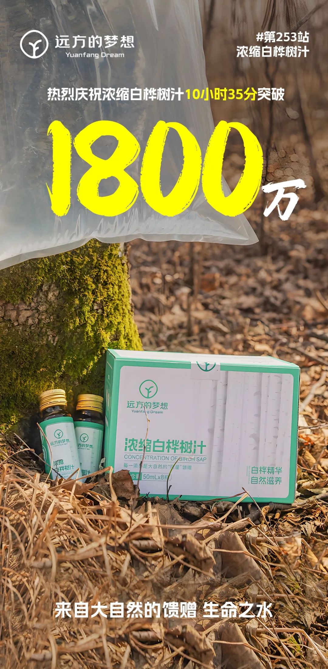远方奇迹：白桦树汁销量破亿创纪录，行业开创者引领健康潮流