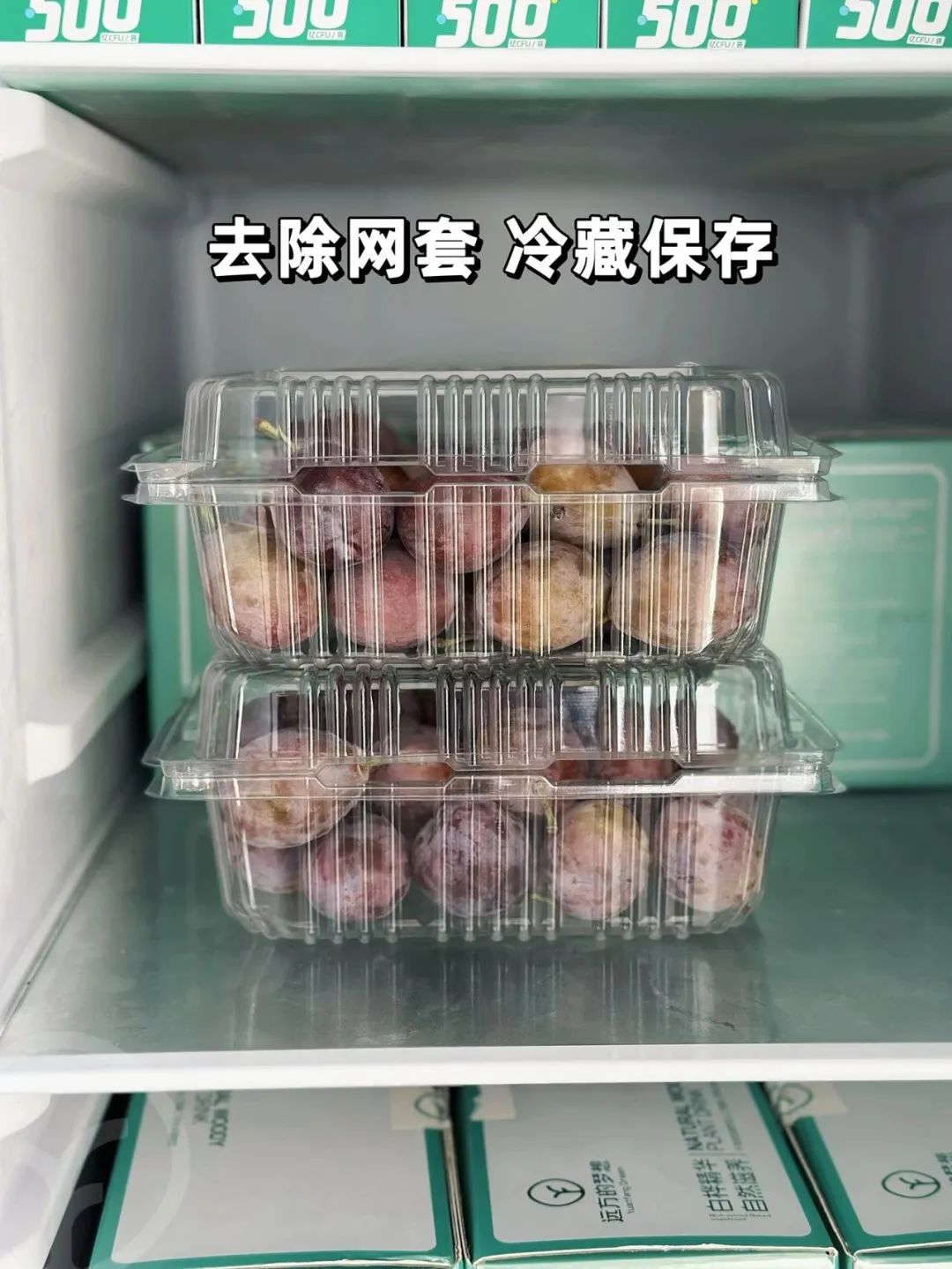 新疆树上熟西梅 法兰西伽师甜到爆