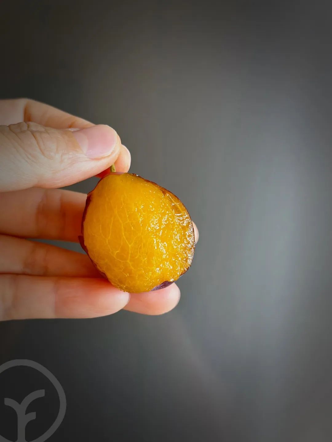 新疆树上熟西梅 法兰西伽师甜到爆