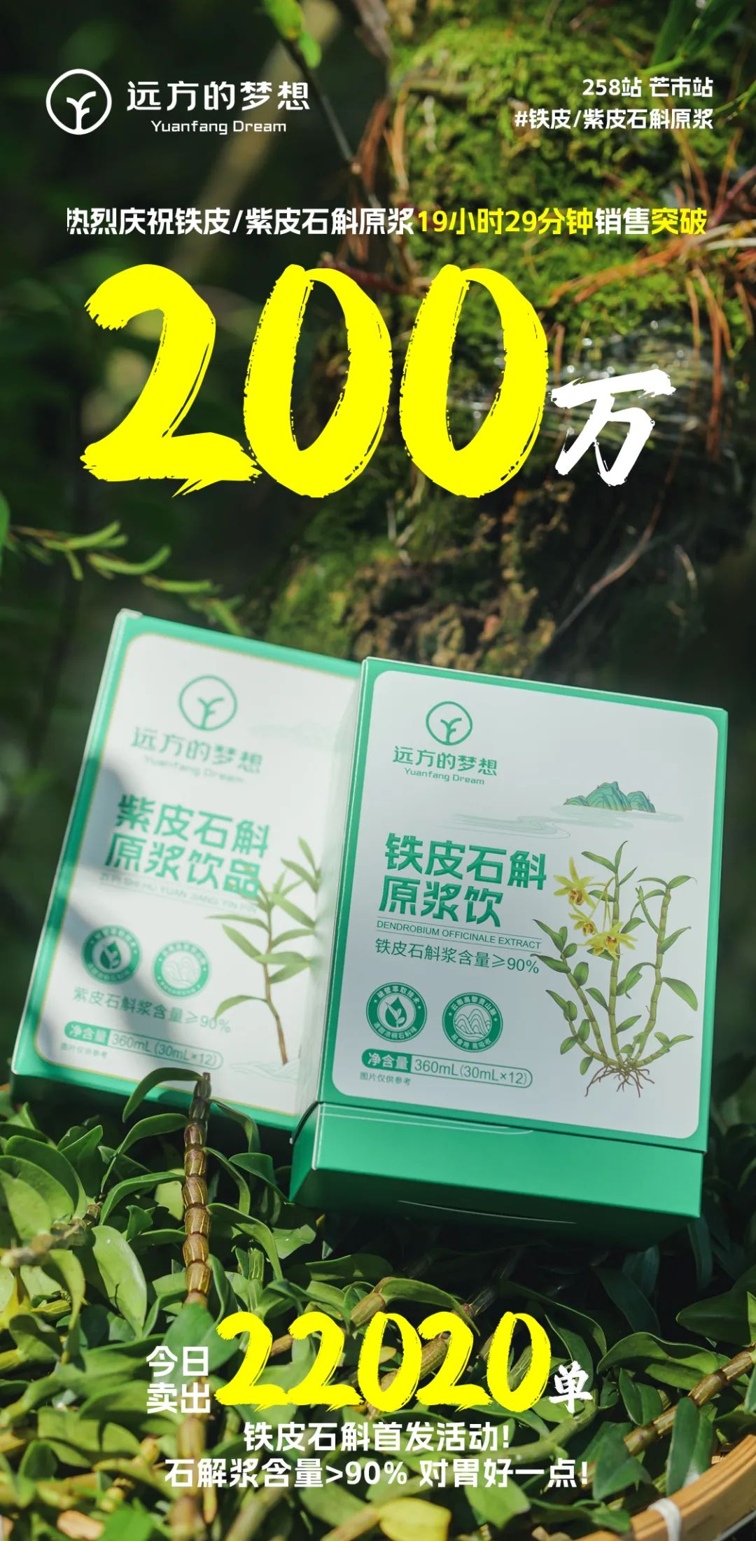 龙陵石斛原浆：九大仙草之首的滋养秘境