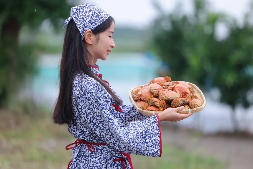 阳澄湖大闸蟹开捕季：溯源千蟹宴品鉴绝世美味