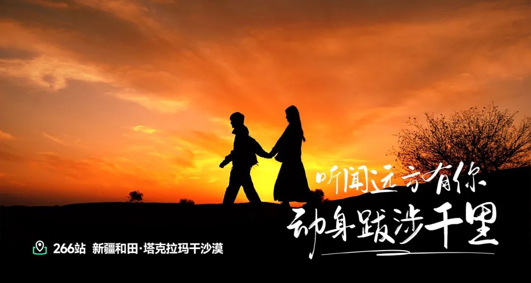 塔克拉玛干沙漠里的奇迹有机红枣