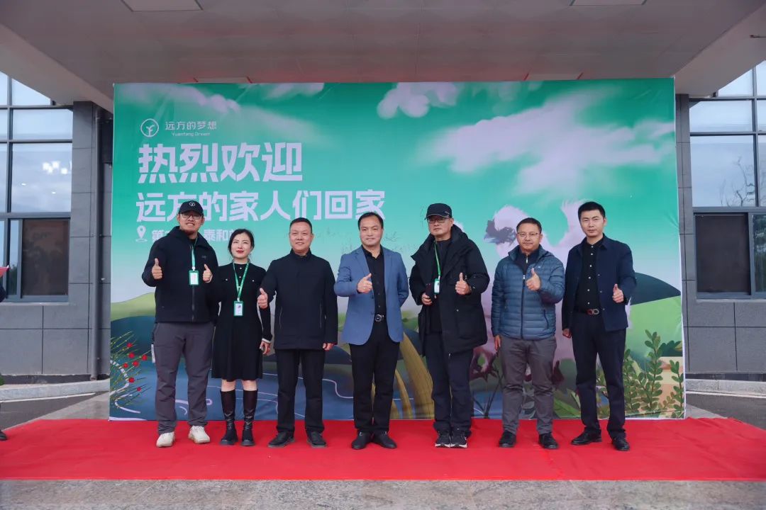 探寻泰和乌鸡的传奇：药食同源的营养宝库